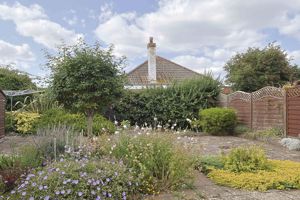 Photo 12- click for photo gallery